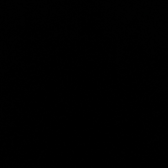 Meet your Posher, Sara - Picture 1 of 1